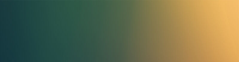 verlauf_webseite